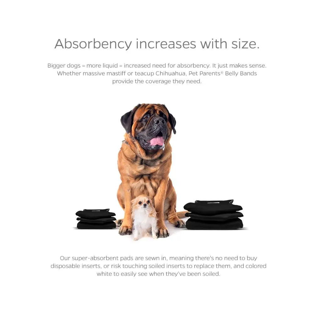 Belly Bands (3-Pack)   Extenders