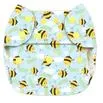 Blueberry Newborn Simplex All in One