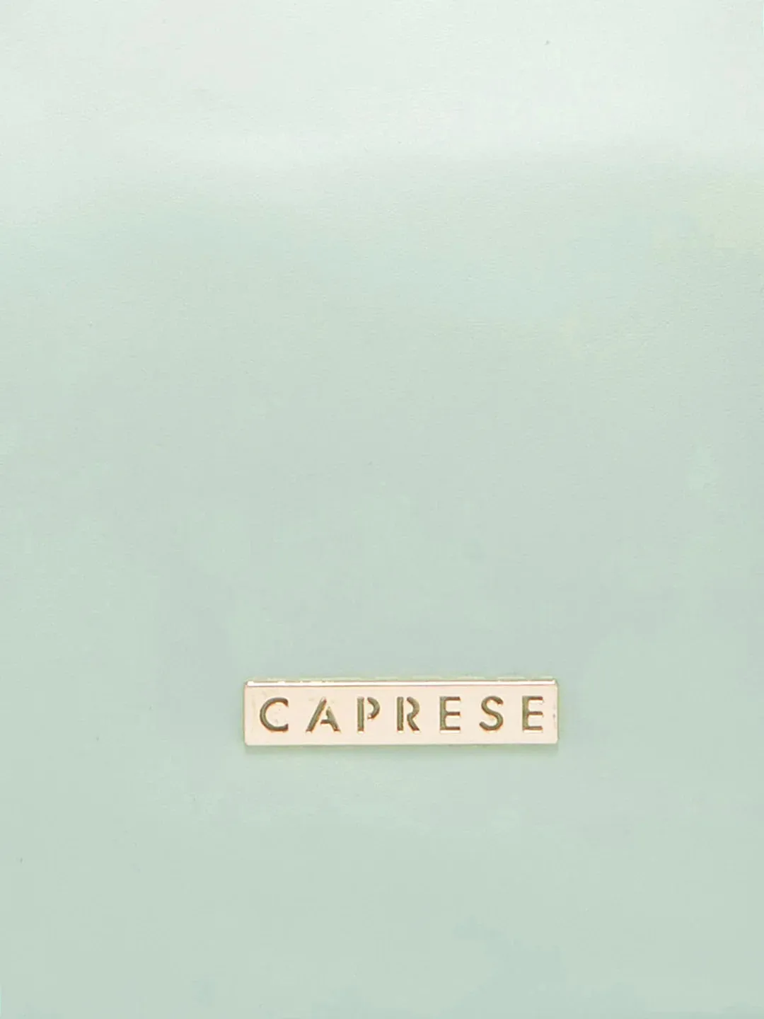 Caprese Pyxis Small Mint Satchel Bag