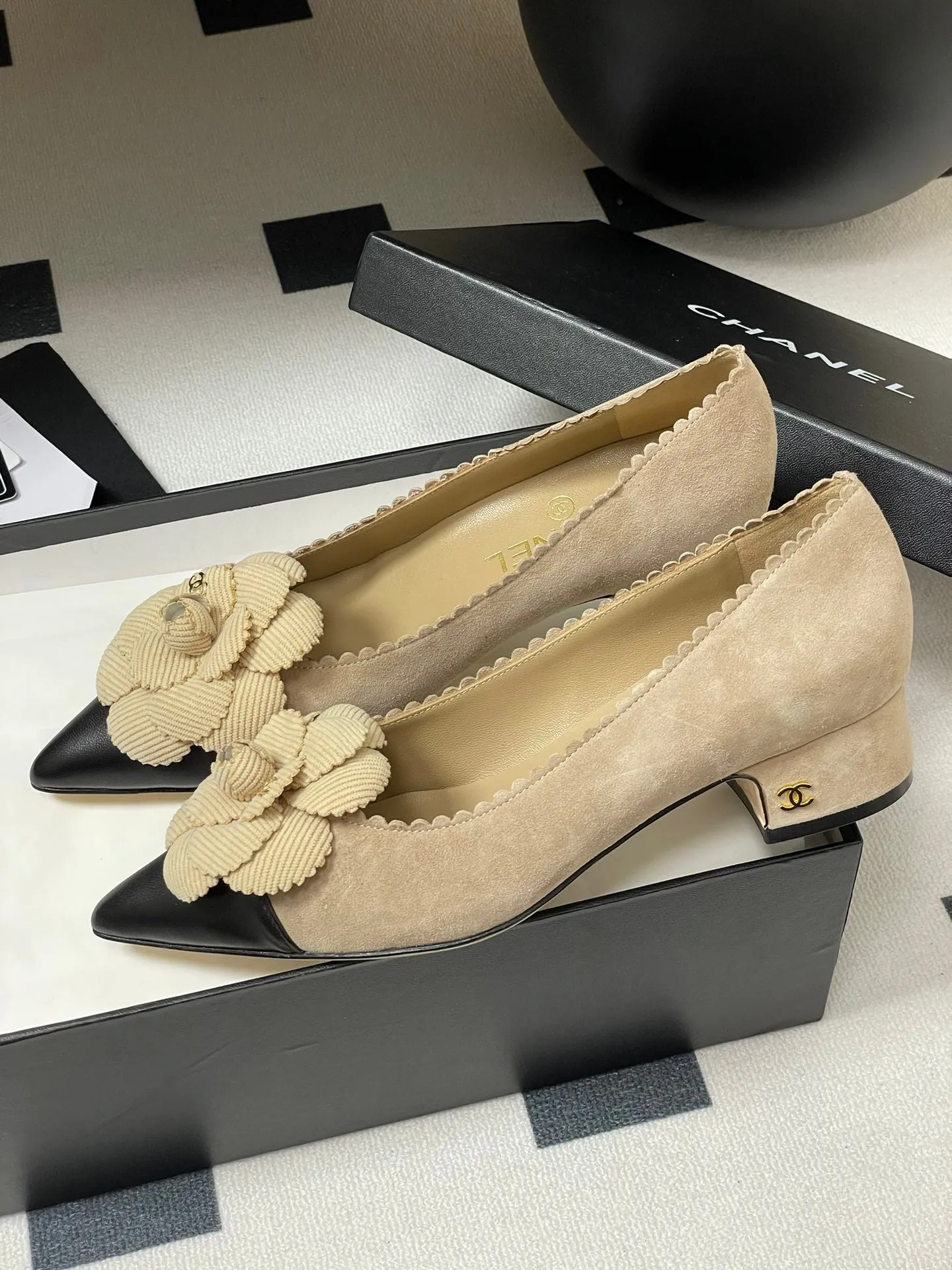 CC 25C Classic Camellia Pointed High Heels Flat 15mm Beige Suede 247608