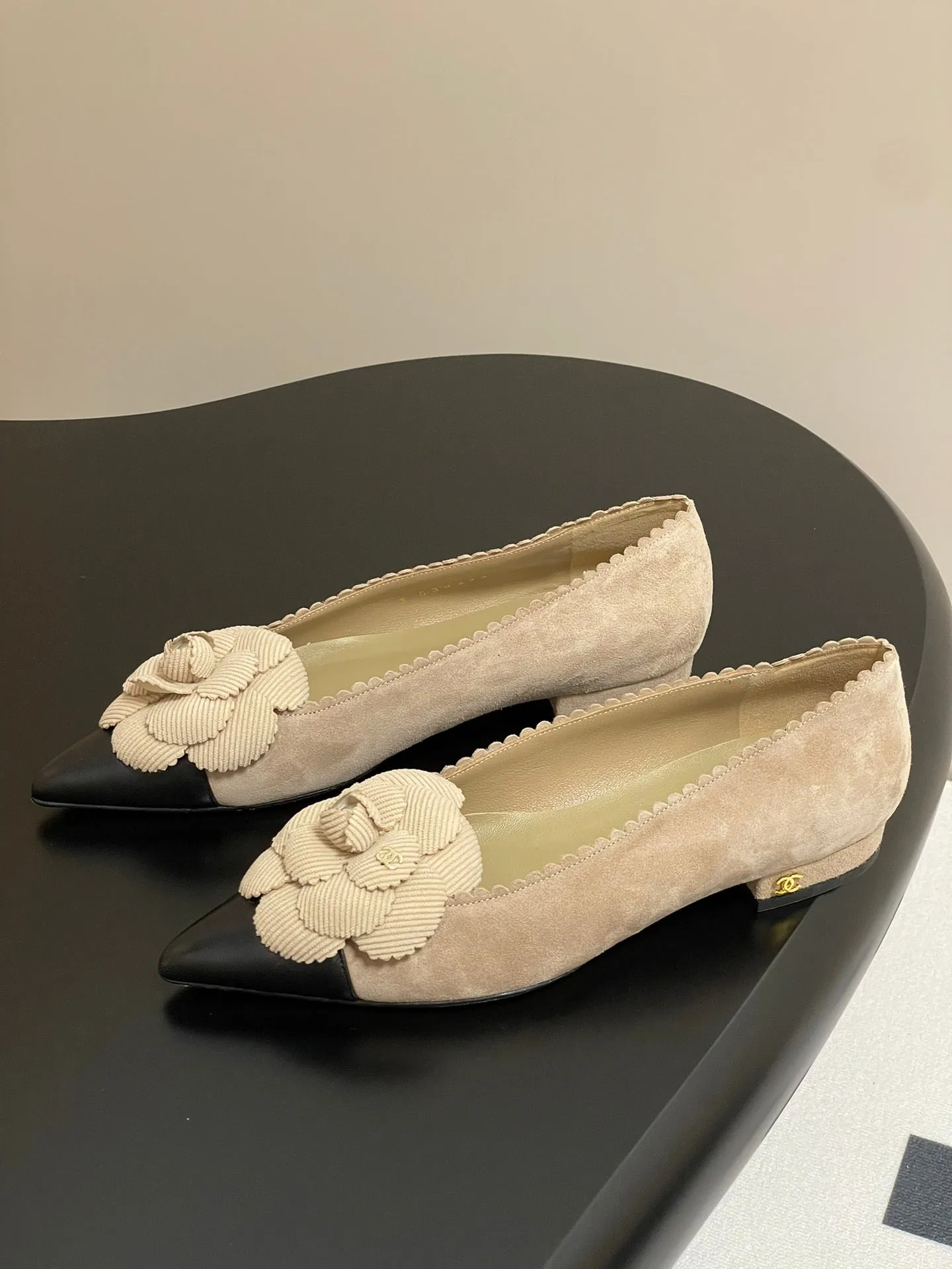 CC 25C Classic Camellia Pointed High Heels Flat 15mm Beige Suede 247608