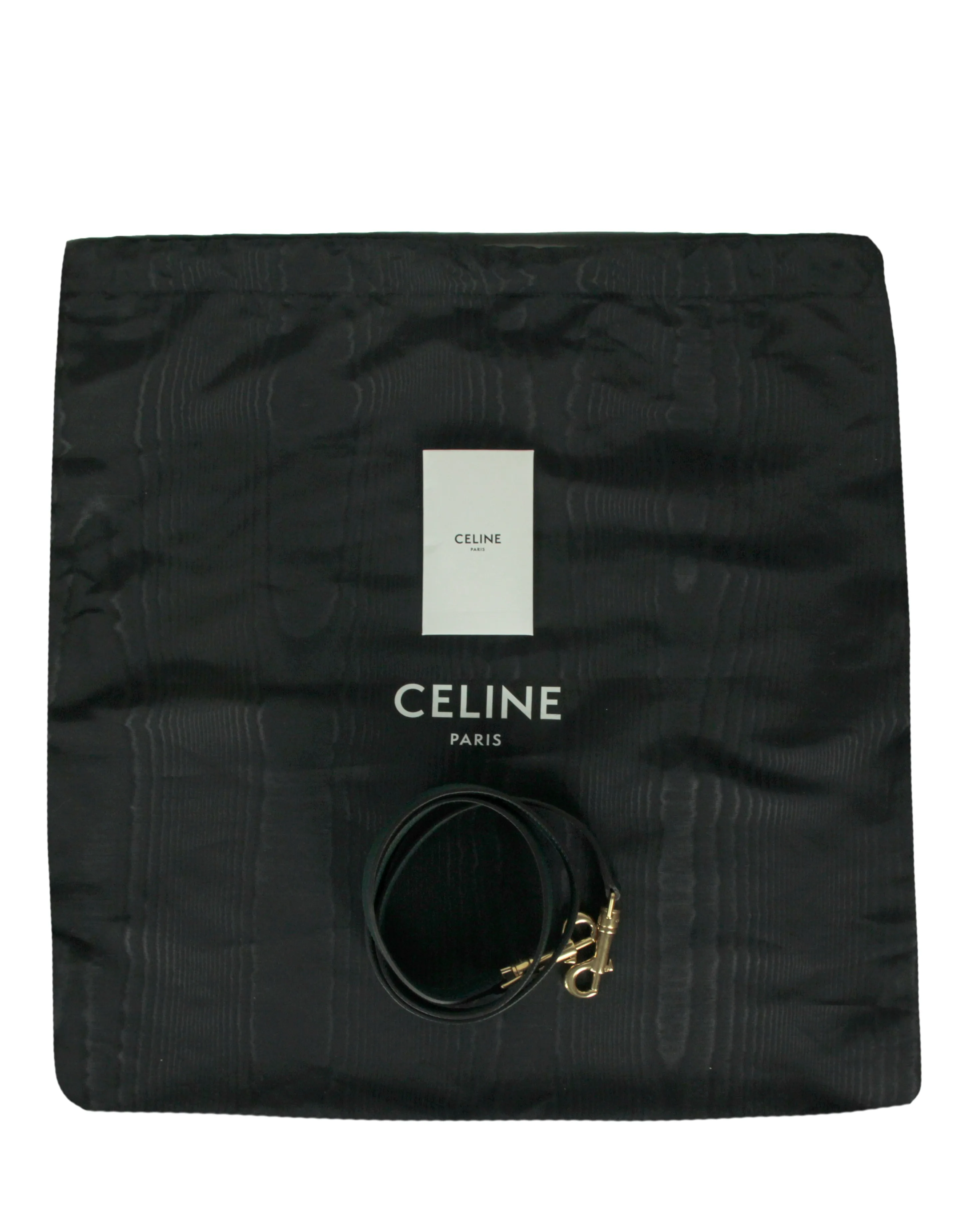 Celine Amazone Grained Leather Micro Belt Bag