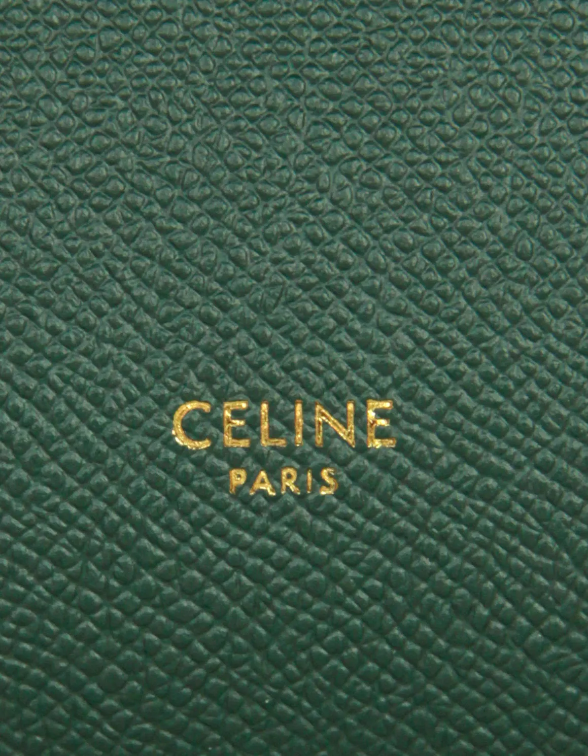 Celine Amazone Grained Leather Micro Belt Bag