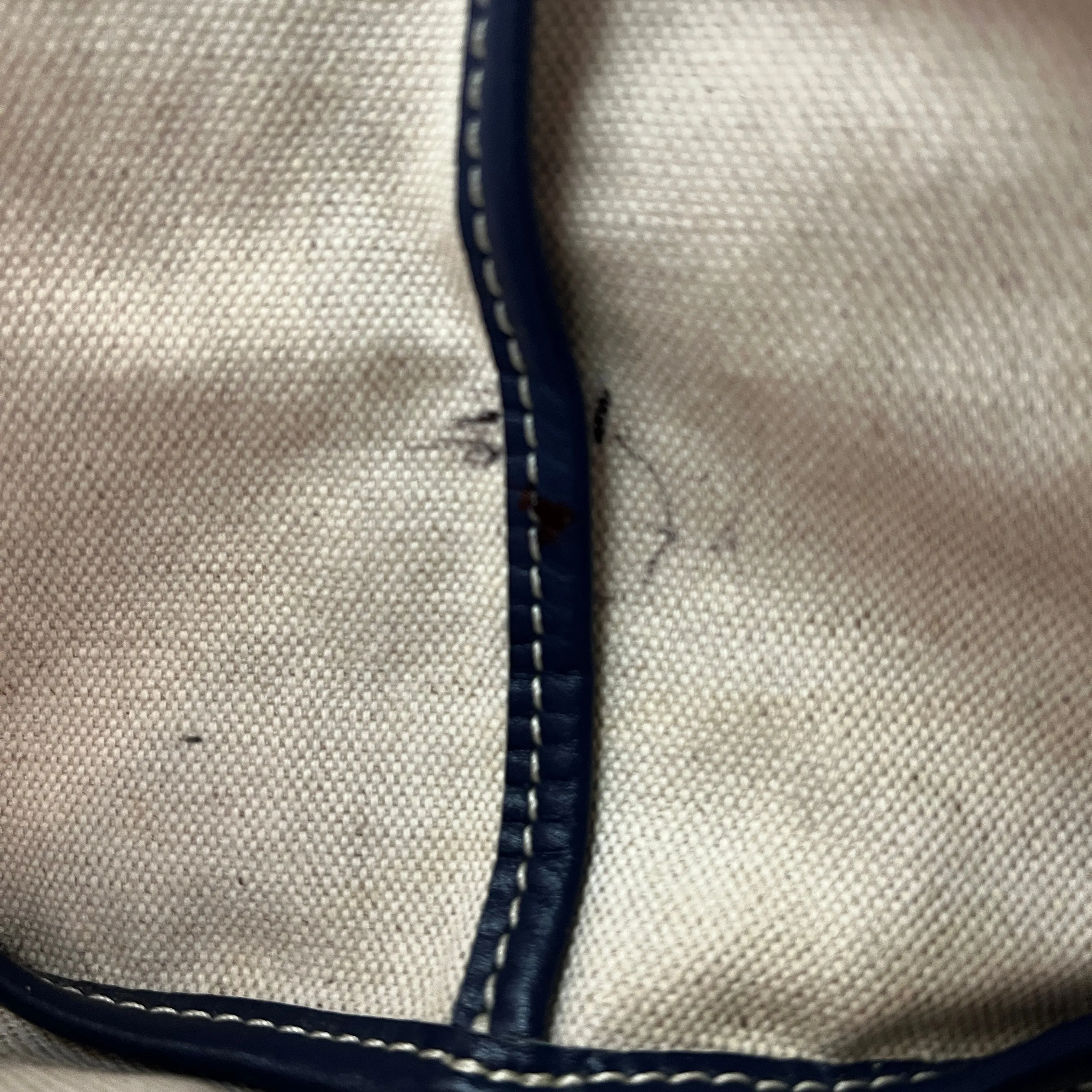 GOYARD Navy Blue Saint Louis PM Tote Bag