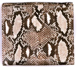 Leather Snakeskin Wallets - On Sale