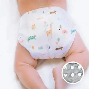 Pocket Diaper - Birthday Party