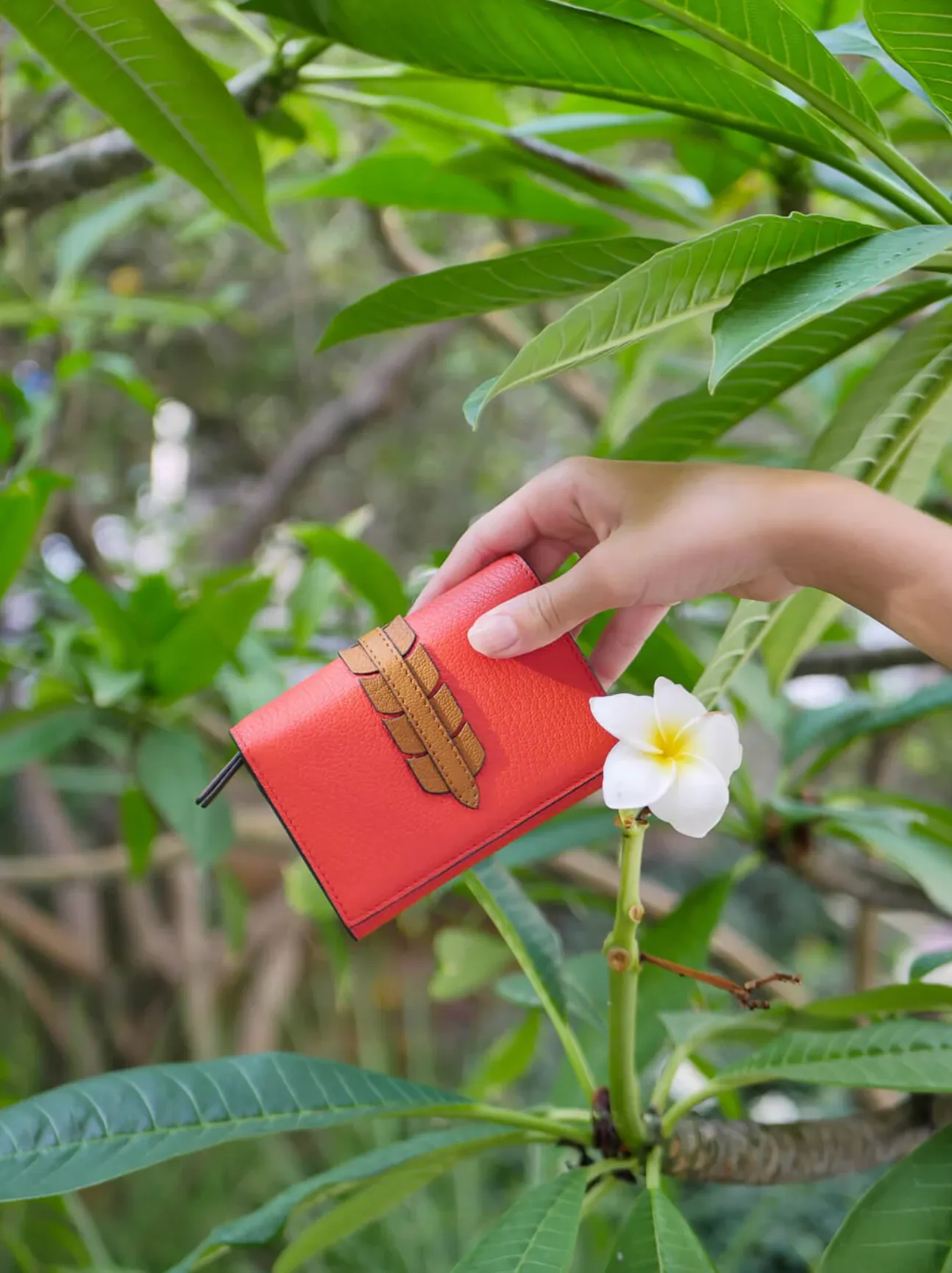 Rayen Small Wallet