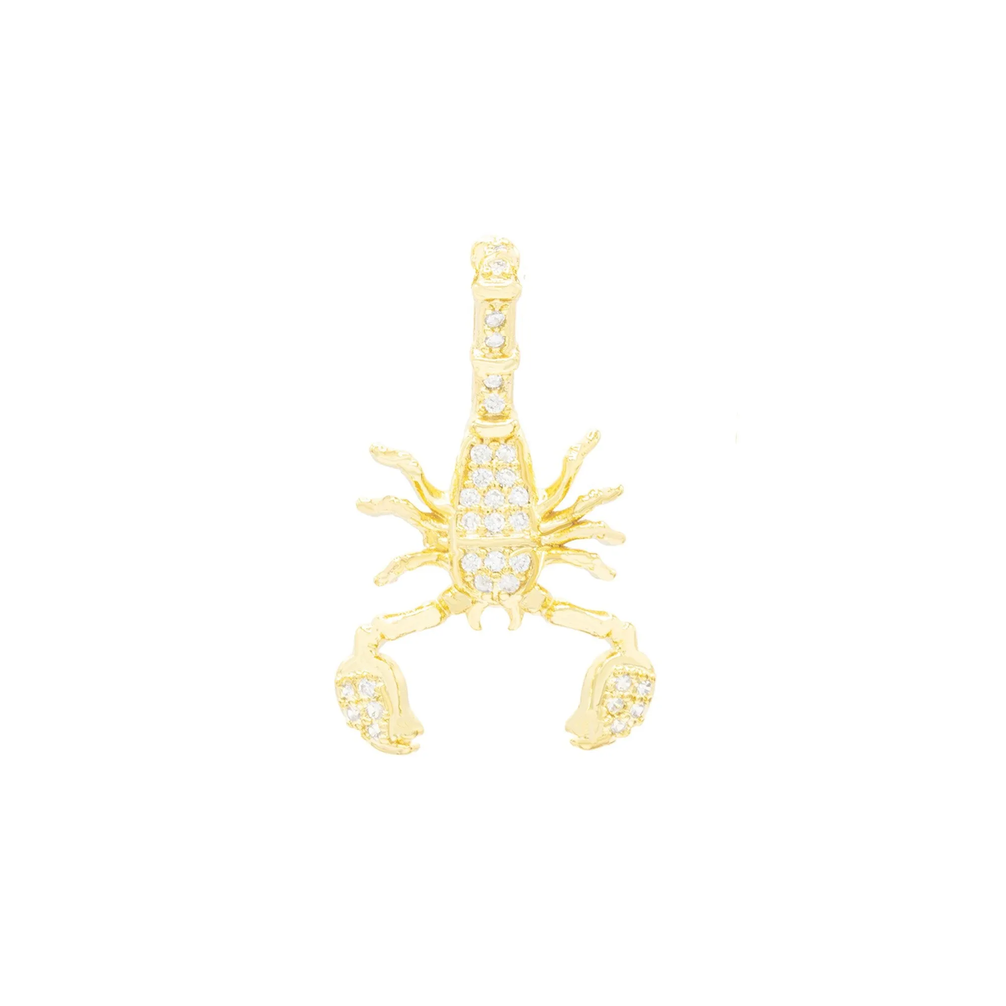Scorpion Pendant 14K Anklet Gold Filled Cubic Zirconia Charm Rope Chain Set 10" WomenJewelry