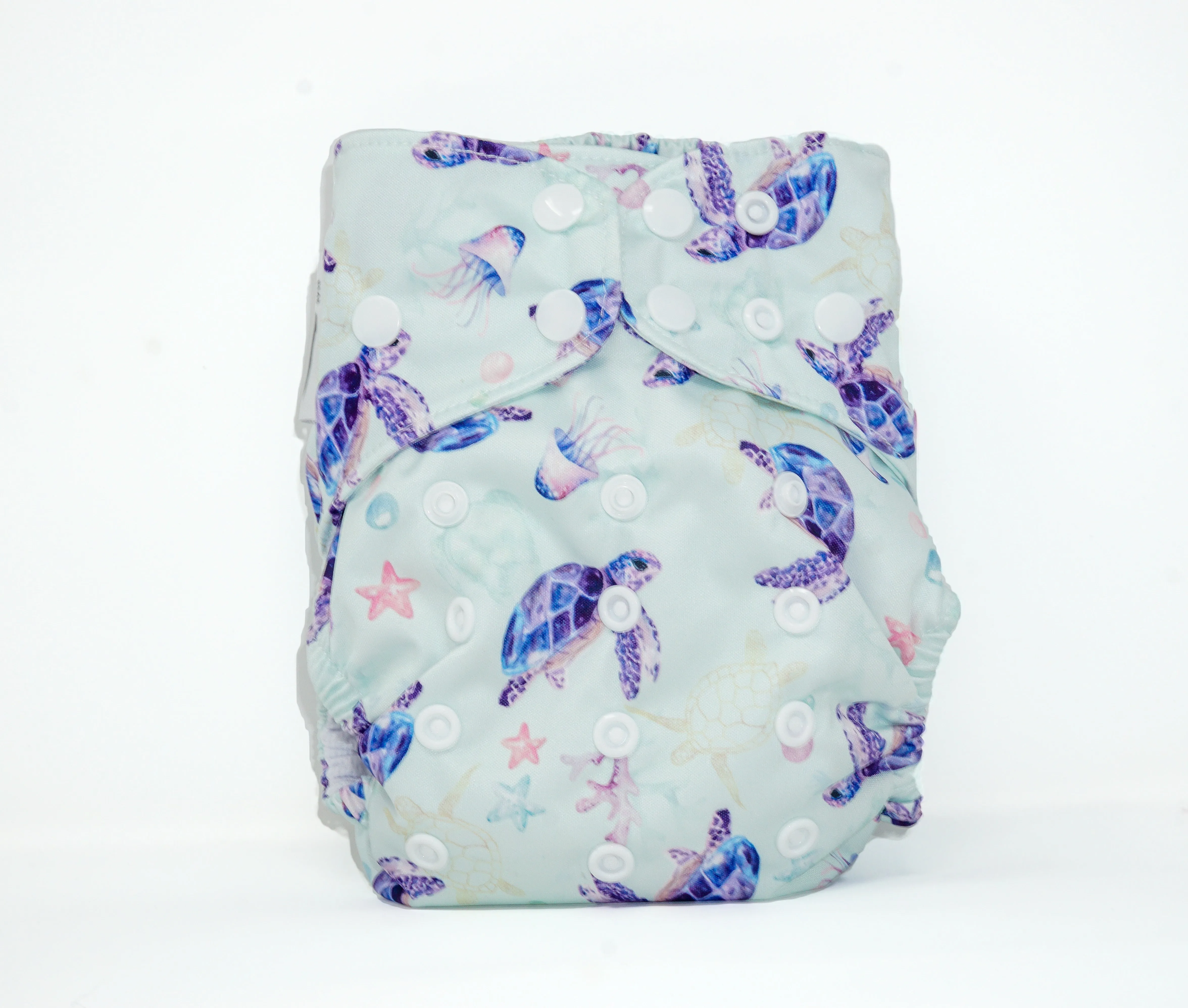 Version 1 Bear Bott All In Two Nappy